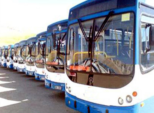 دائرة النقل في الامانة توكد جاهزيتها لإدامة الخدمات في يوم وقفة عرفة والعيد