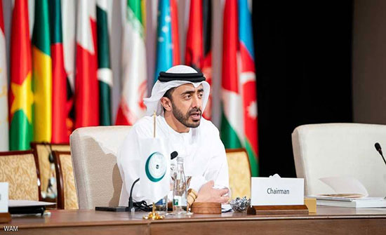 عبدالله بن زايد: القضية الفلسطينية جوهرية