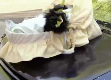 الطفل المخيف