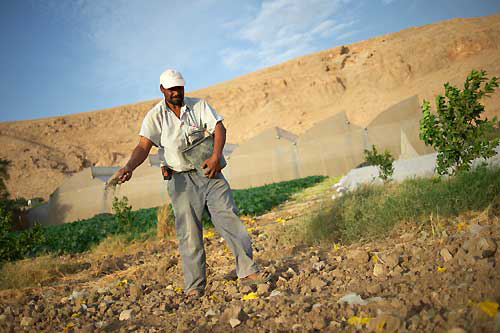 85 الف طن صادرات الاردن من الخضار والفواكه في " آب " الماضي 85 الف طن صادرات الاردن من الخضار والفواكه في " آب " الماضي
