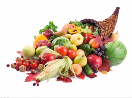 2533 طن خضار وفواكه ترد للسوق المركزي الاربعاء 2533 طن خضار وفواكه ترد للسوق المركزي الاربعاء