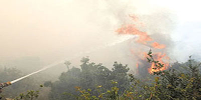 الاردن يطالب اسرائيل بـ 26 ألف دينار