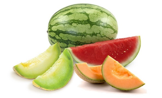 بدء تقديم طلبات تصاريح إقامة معرشات الشمام والبطيخ إلكترونياً غدا