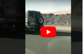 سائق«جيب» يسحل كلبا خلف سيارته (فيديو)