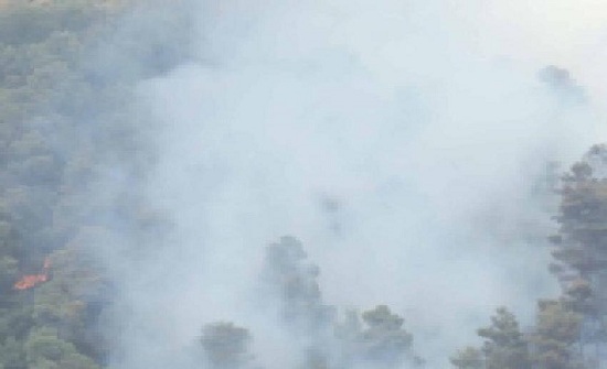 بالصور : أكثر من 5 ساعات لاخماد حريق اشجار في جرش ولجنة لمعرفة الاسباب