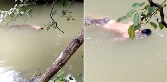 فيديو| ادّعى امتلاكه قوة خارقة للسيطرة على التماسيح .. نهاية مأساوية لساحر بين فكيّ تمساح!