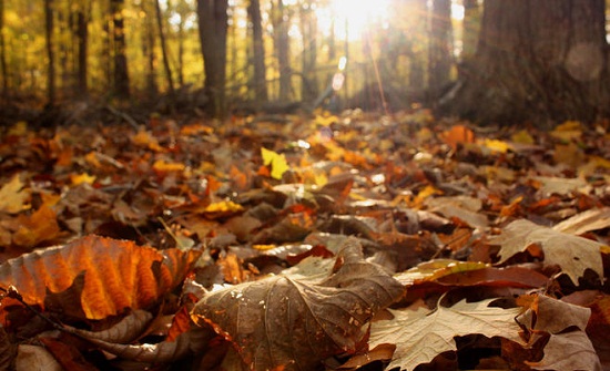 الأحد : طقس خريفي مشمس وارتفاع على درجات الحرارة