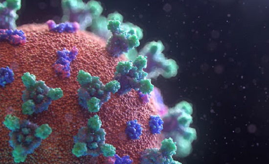 اربد: إصابة جديدة بكورونا لمخالط