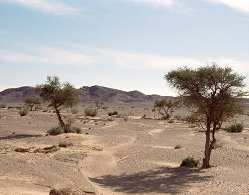 تل أبيب تطالب مصر بتأجير سيناء للفلسطينيين