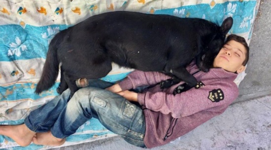 [شاهد] تخلى عنه عمه وليس لديه أحد .. قصة مؤثرة لطفل سوري مشرد بشوارع إسطنبول