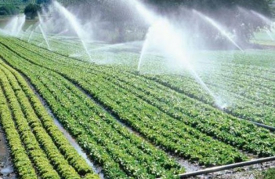 الزراعة تدعو لاتخاذ اجراءات تقلل من آثار موجة الحر