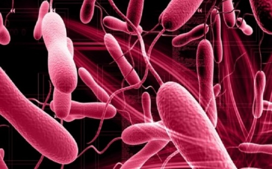 عدد ضحايا الكوليرا في اليمن يقترب من الالف شخص