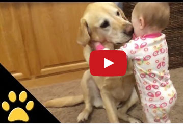 فيديو جميل للحيوانات و الاطفال