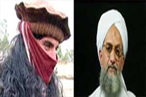 الظواهري يرثي بيت الله محسود ويصف اوباما بانه "مجرم" الظواهري يرثي بيت الله محسود ويصف اوباما بانه "مجرم"
