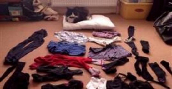 بالصور: قطة تهوى سرقة الملابس الداخلية من الغرباء!!