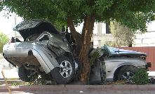 الأطفال يشكلون 44 بالمائة من وفيات حوادث المشاة  
