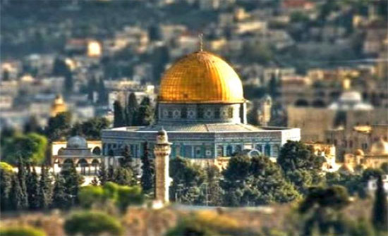 الصفدي لتيلرسون: "قرار القدس" يغذي التطرف الصفدي لتيلرسون: "قرار القدس" يغذي التطرف