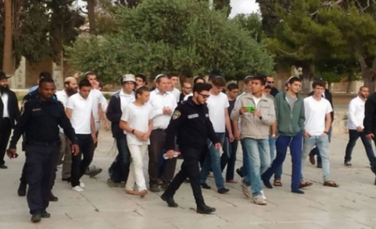 المستوطنون يستأنفون اقتحاماتهم للآقصى والإحتلال يعيد فتح باب المطهرة