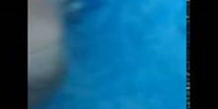 شاهد.. ماذا فعل رجل مع كوب بيرة بعدما تعرض لهجوم في الماء شاهد.. ماذا فعل رجل مع كوب بيرة بعدما تعرض لهجوم في الماء