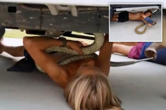 «فيديو» مراهق شبه عاري فَعَلَ ما لا يستطيع فعله الكبار!