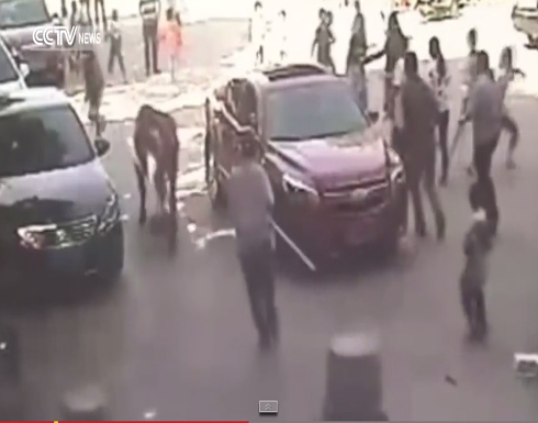 ثور يقتحم مدرسة ابتدائية ويهاجم تلاميذها