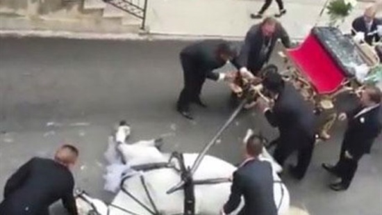 بالفيديو - مشهد مأساوي خلال حفل زفاف... بسبب حصان!