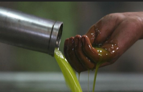 اطلاق الحملة الوطنية لتوعية المواطنين بشراء زيت الزيتون