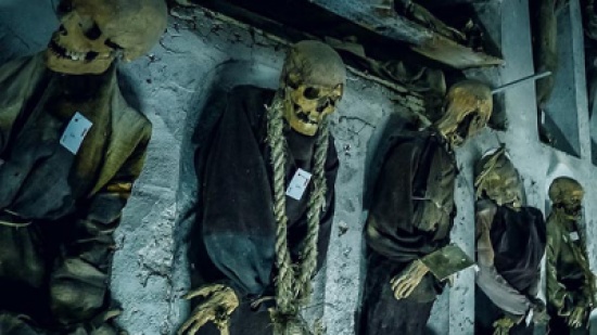 شاهد: أكثر 10 متاحف مرعبة في العالم