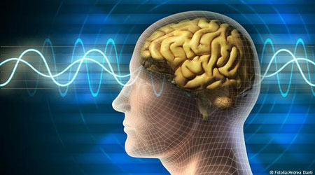كيف تحمي خلايا دماغك من التلف؟ كيف تحمي خلايا دماغك من التلف؟