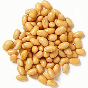 الاستفادة من الخبرات الاميركية في استخدام فول الصويا كأعلاف