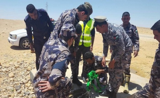 بالصور : انقاذ جمل في بطن الغول على الطريق الصحراوي بالصور : انقاذ جمل في بطن الغول على الطريق الصحراوي