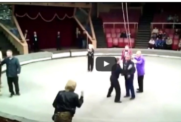 شاهد..  زوج مخمور يحرج زوجته في السيرك