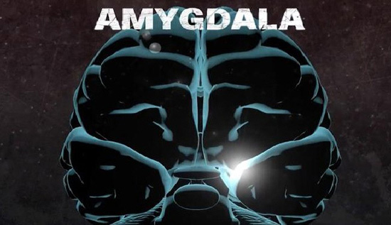 هكذا يختلف دماغ القاتلين عن دماغ البشر العاديين!