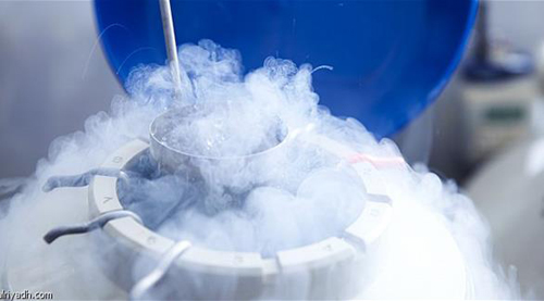 شركات تعرض على موظفيها تجميد البويضات مقابل مزايا