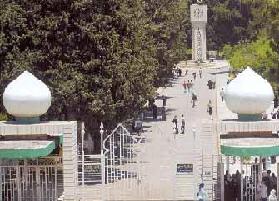 طلبة في الاردنية يشتكون من "كنترولية" باصات يقومون بازعاج الطالبات طلبة في الاردنية يشتكون من "كنترولية" باصات يقومون بازعاج الطالبات