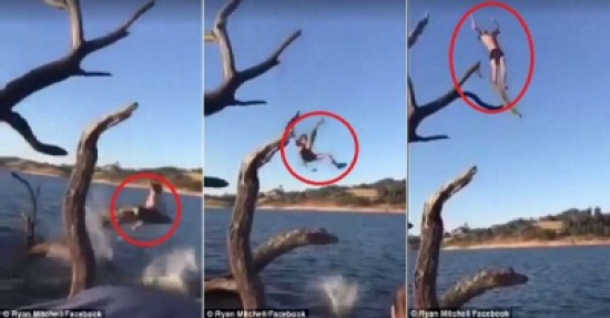 فيديو طريف: شجرة وثلاث ضربات في قفزة مؤلمة إلى الماء