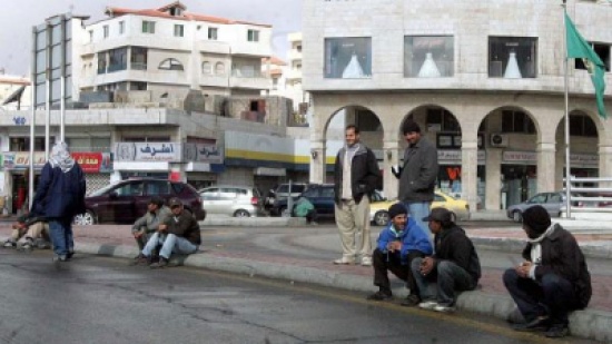 80% من العمال الوافدين الحاصلين على رخصة بالزراعة ... يعملون بشكل مخالف 80% من العمال الوافدين الحاصلين على رخصة بالزراعة ... يعملون بشكل مخالف