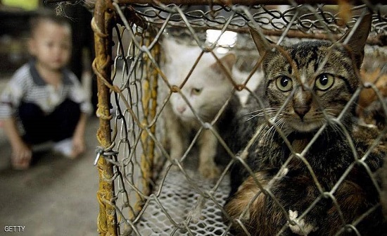 أصل كورونا.. دولة أخرى تطالب بـ"تحقيق دولي"