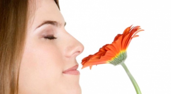 دماغ المرأة يحتوي خلايا عصبية شمية أكثر من الرجل دماغ المرأة يحتوي خلايا عصبية شمية أكثر من الرجل