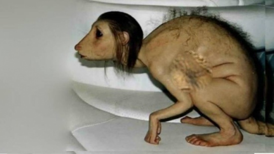 فيديو| أشهر كذبة شوهت صورة الإسلام!