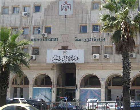 الزراعة تنفذ حملة لمكافحة البعوض في الاغوار الجنوبية الزراعة تنفذ حملة لمكافحة البعوض في الاغوار الجنوبية