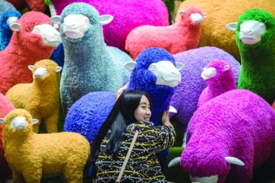 رئيس يدعو شعبه للاقتداء بأخلاق الخراف