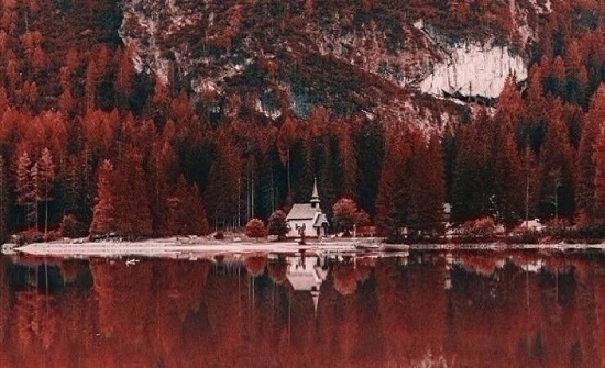 صور.. هكذا يرى المصابون بـ 'عمى الألوان' العالم!