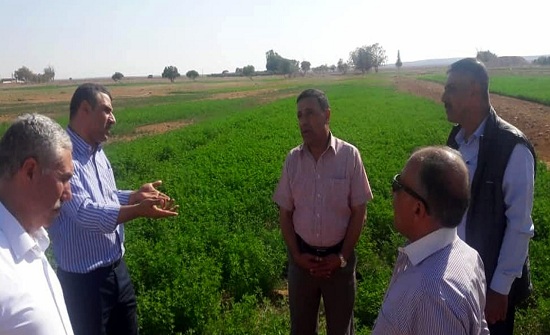 الشديفات يؤكد أهمية استدامة إنتاج الأعلاف المروية والشعير الأخضر