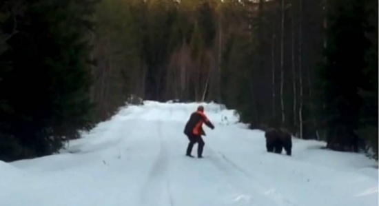 دب يهاجم رجلاً