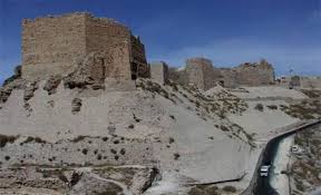 لجنة الزراعة في مجلس محافظة الكرك تزور سوق بيع المواشي