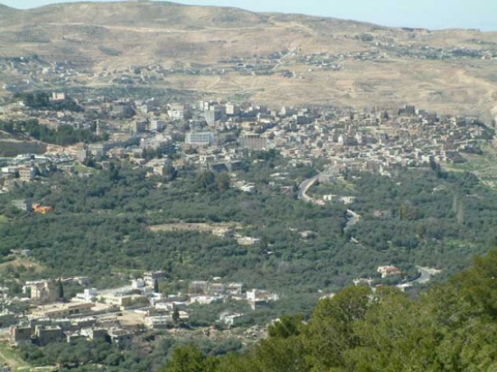 لجنة الاغاثة الدولية في الطفيلة تنفذ برامج تستهدف اللاجئين لجنة الاغاثة الدولية في الطفيلة تنفذ برامج تستهدف اللاجئين