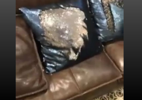 بالفيديو: وسادة “سحريّة” يتغيّر لونها بلمسةٍ واحدة! بالفيديو: وسادة “سحريّة” يتغيّر لونها بلمسةٍ واحدة!
