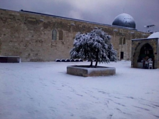 بالصور ... القدس تكتسي بالابيض بالصور ... القدس تكتسي بالابيض