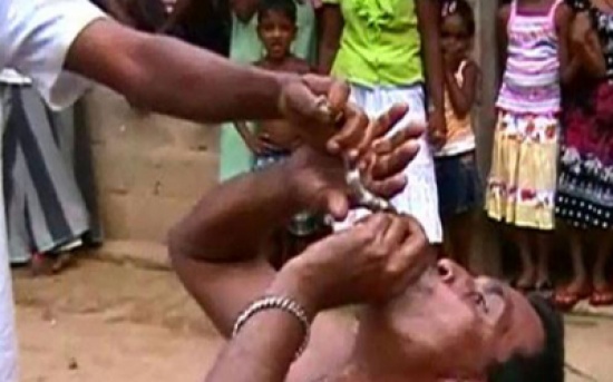 يبتلع كوبرا حية لدخول سجل غينيس